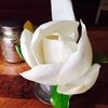 jill_rich